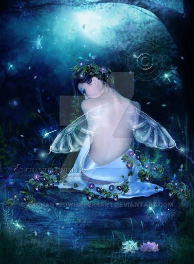 Fairy
