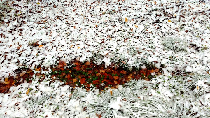 ready to freeze?