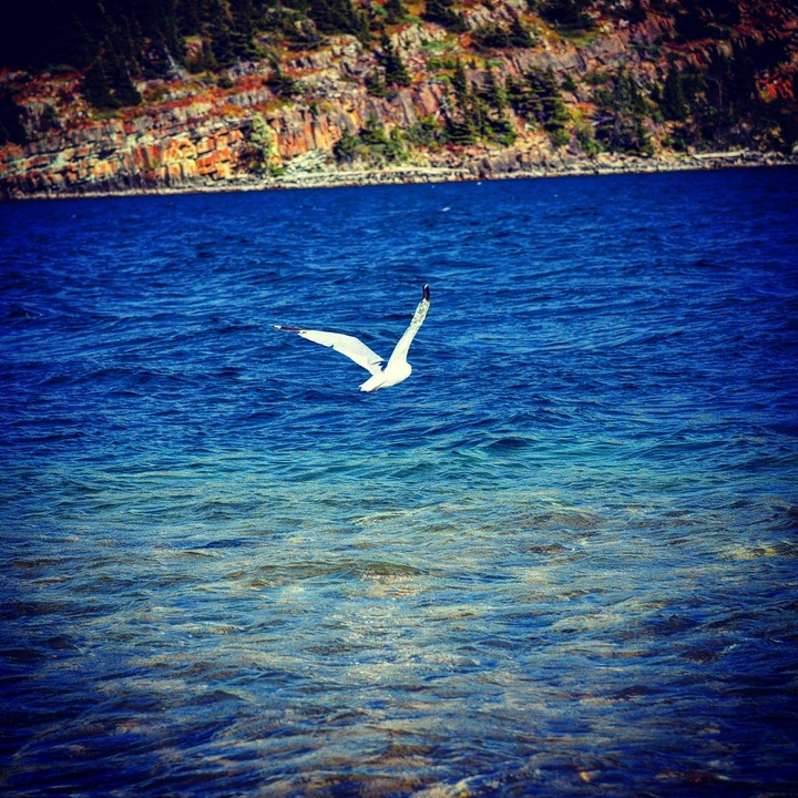 "Fly"