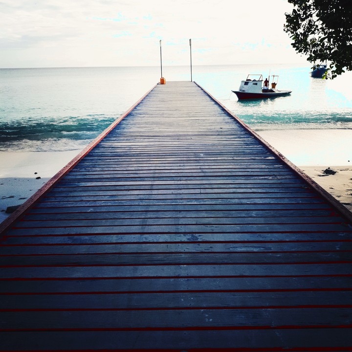 jetty