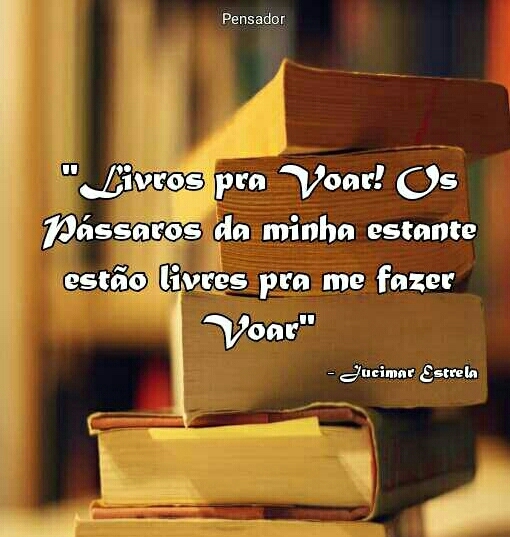 Livros pra voar!