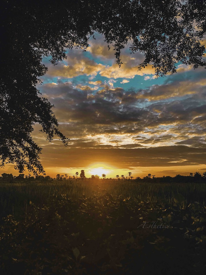 sunset
