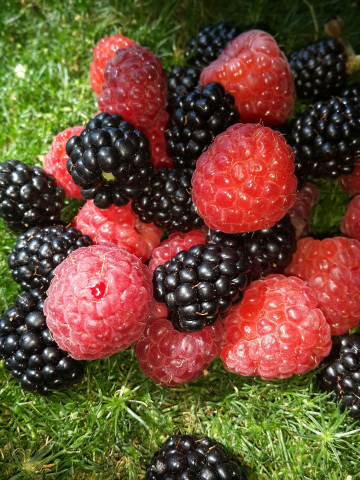 Berry