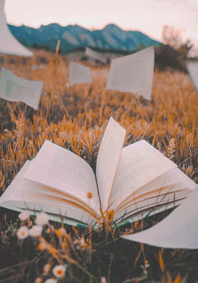 book