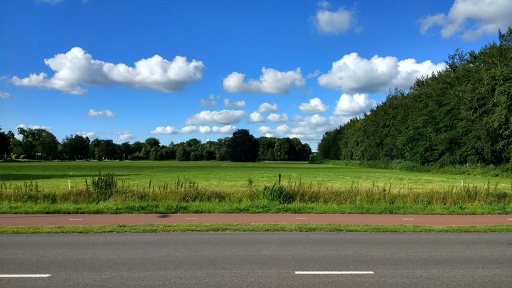 Field