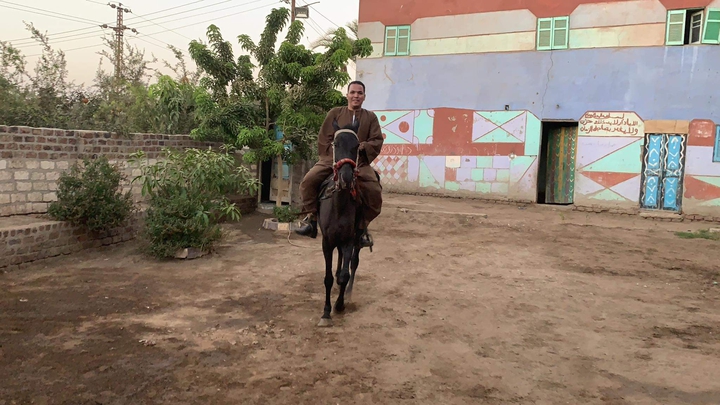 horse