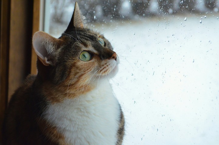 I love the rain