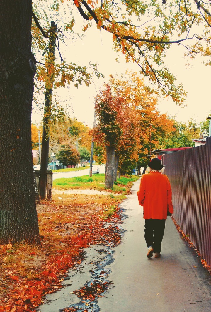 autumn
