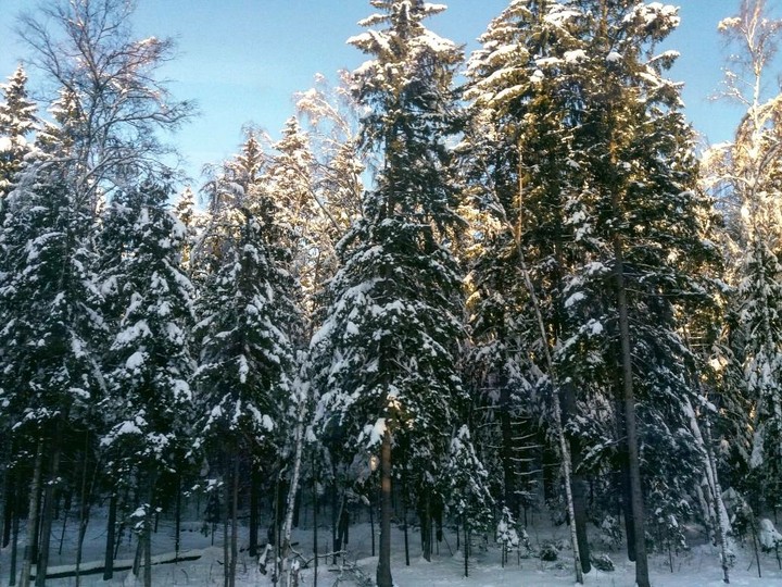 winter