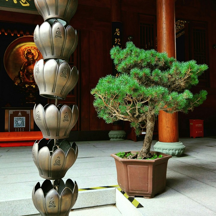 jade buddha temple
