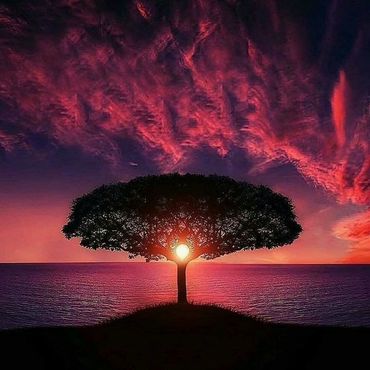 sunset