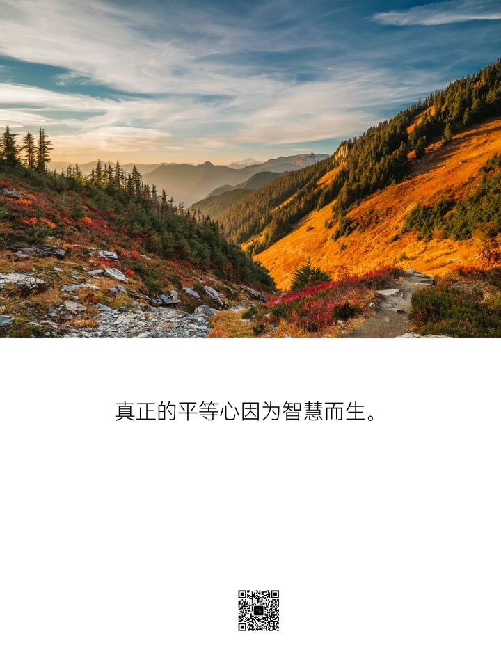 不行动