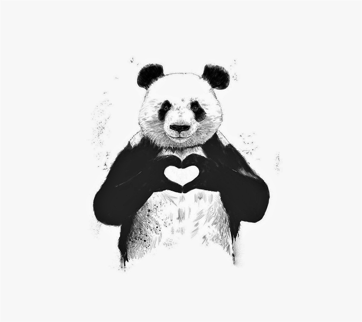 Panda_love