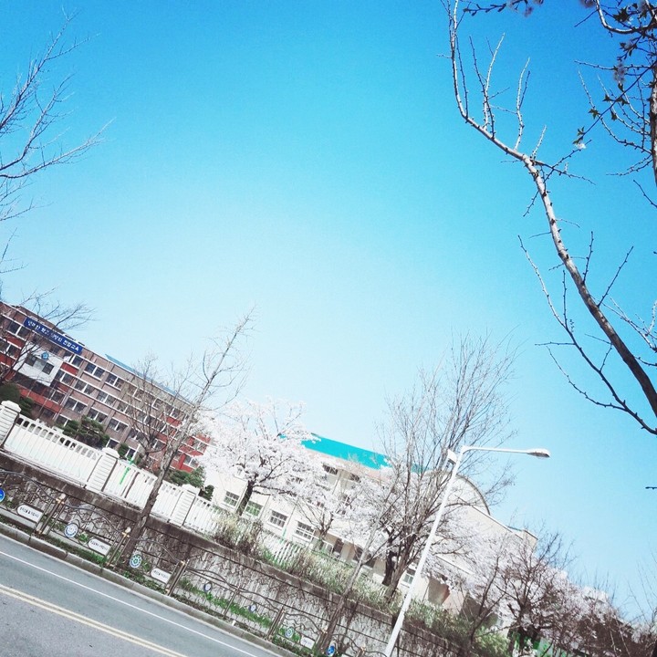 학교