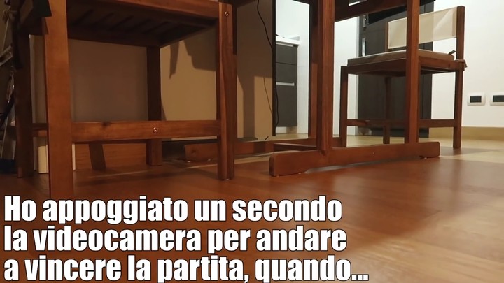 c è un insetto grosso in casa mia