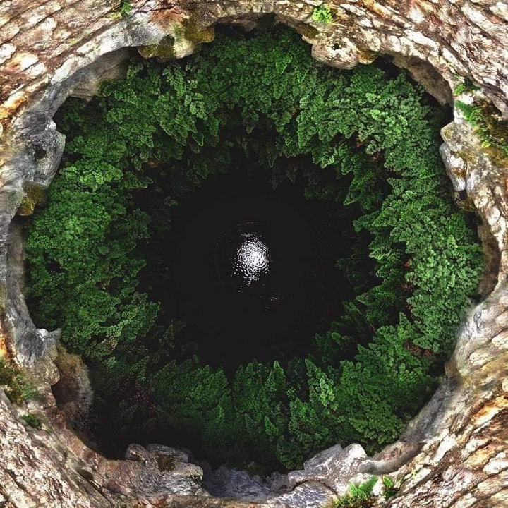 eye