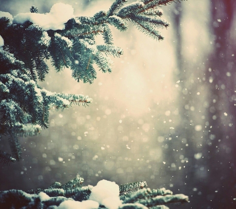 winter