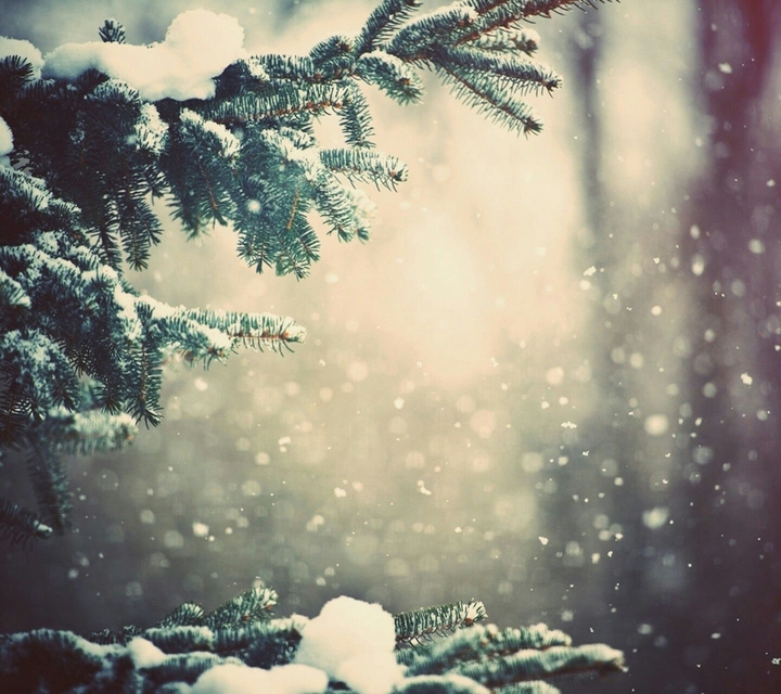 winter