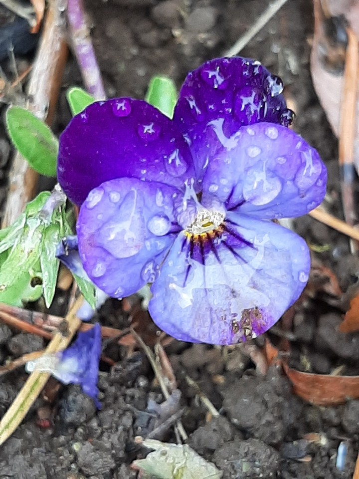 Beauty in Small Places