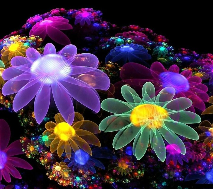 Flower Power