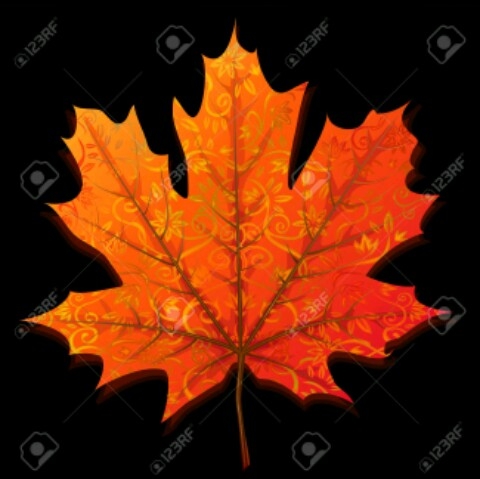 feuille d'érable
