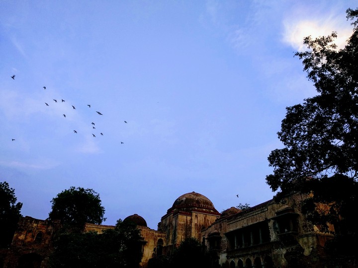 Evening