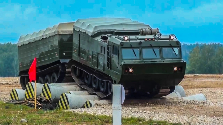 dt 30 vitijz