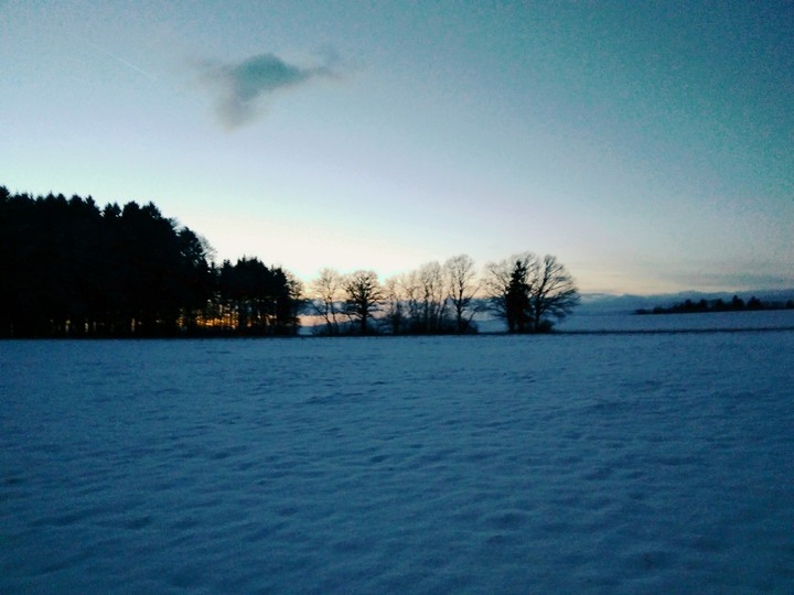 winter