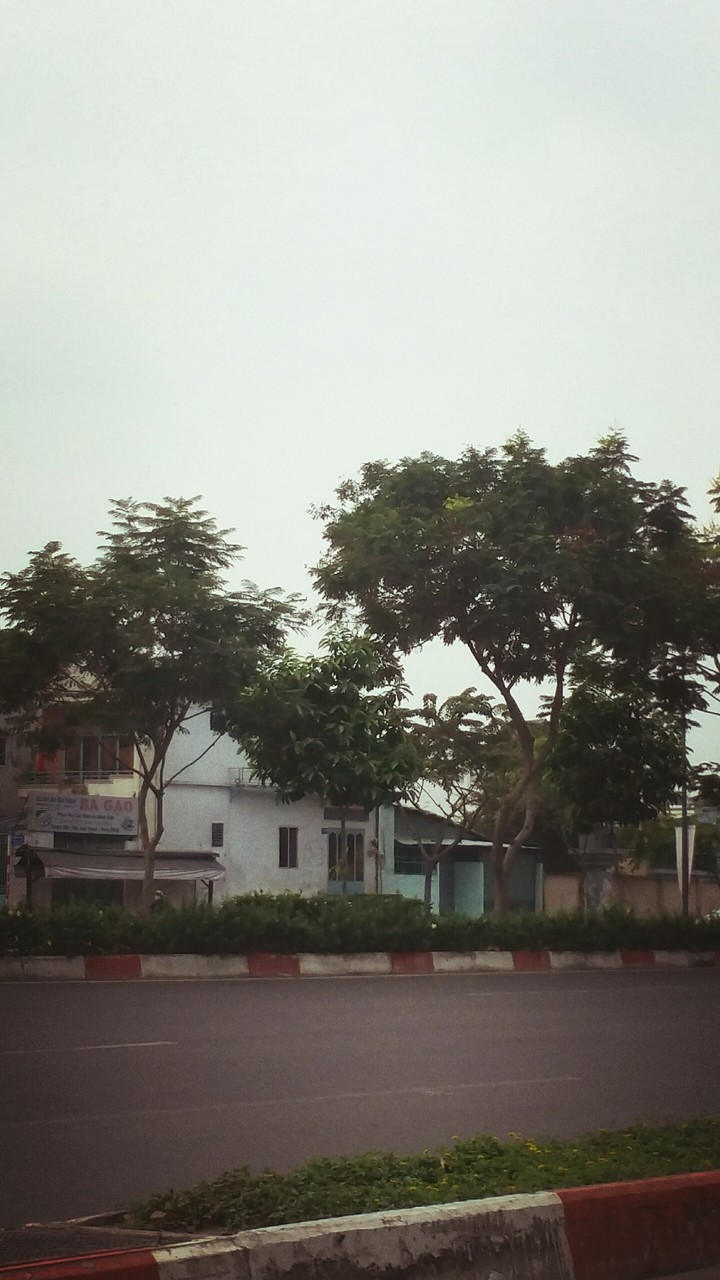 Vẳng lặng