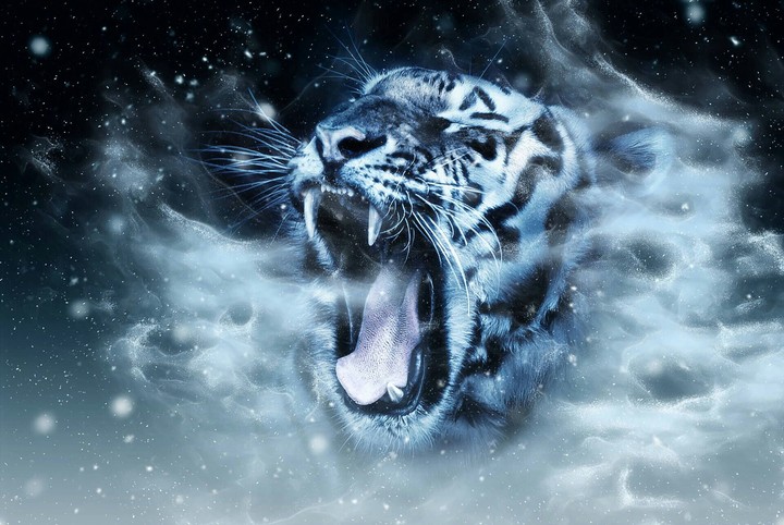 Tigre