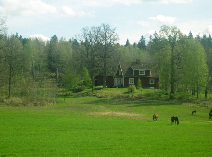 Scenics