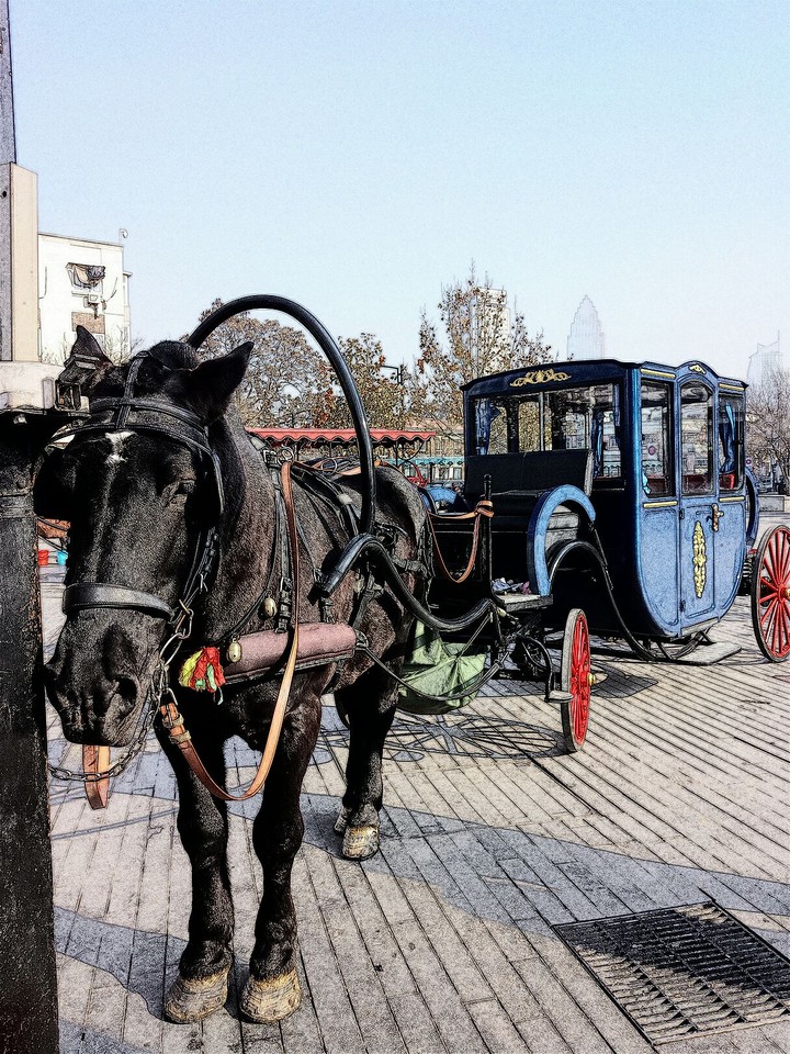 Carriage