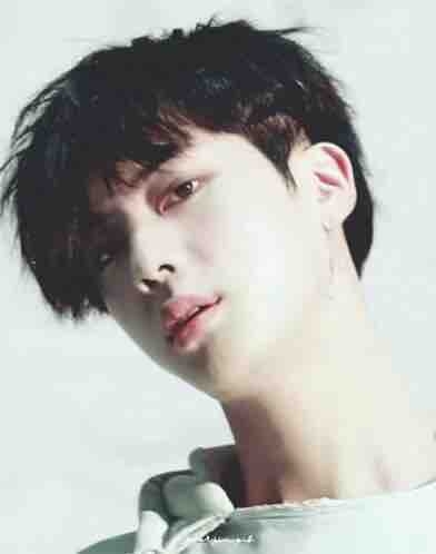 fake love Jin