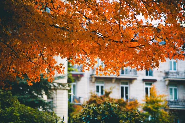 Fall in Baden-Baden