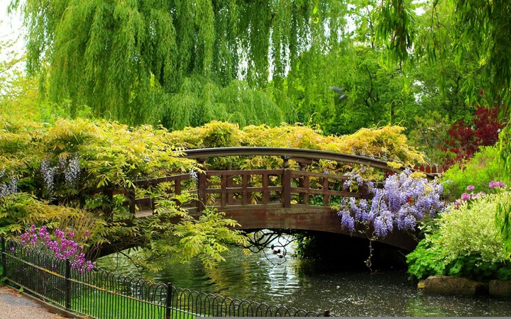 garden