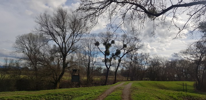 follow  your own path
