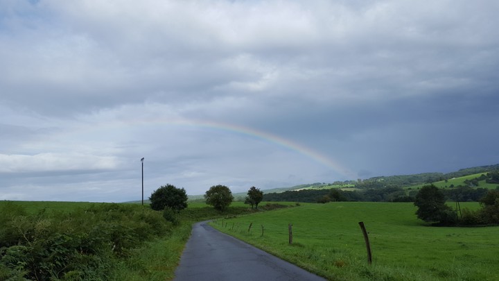 Regenbogen