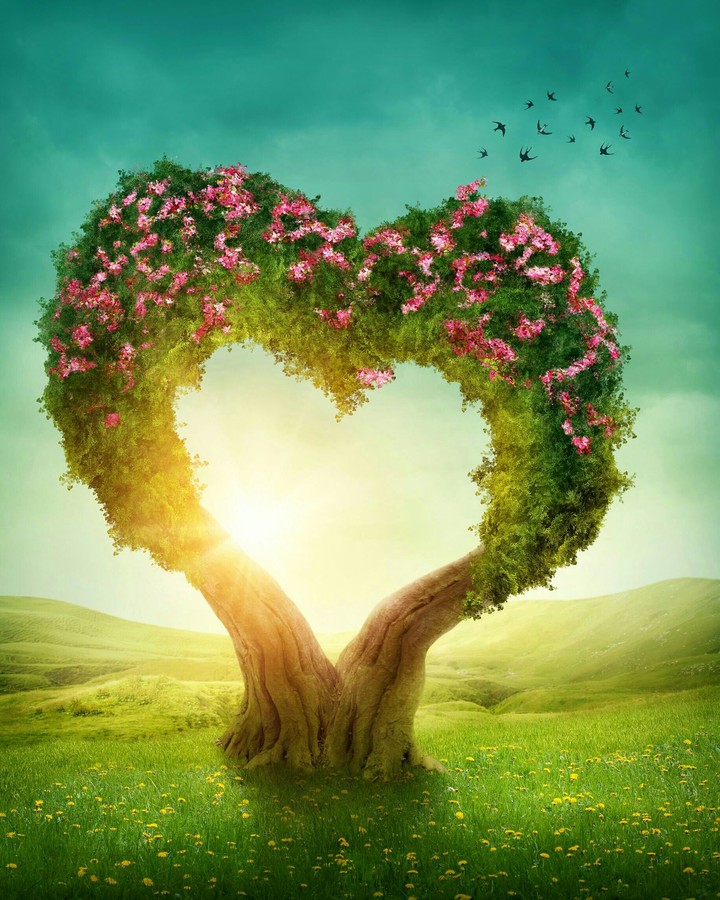 Love is like a forest