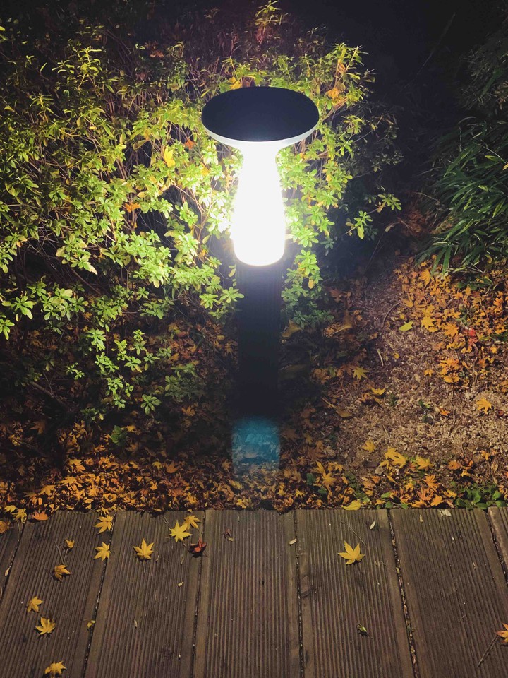 가을 밤