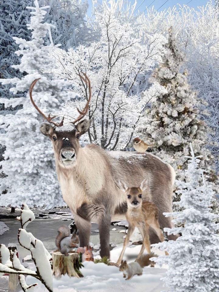 Winterlandschaft