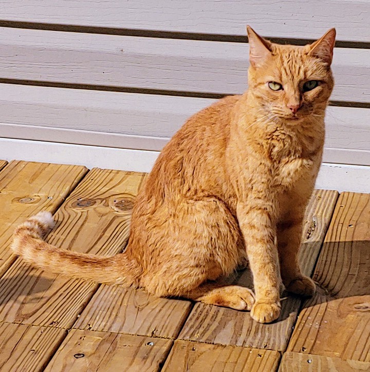 Max