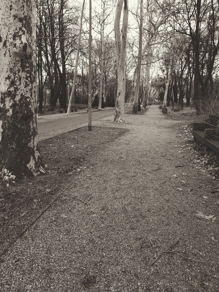 Park in Keszthely