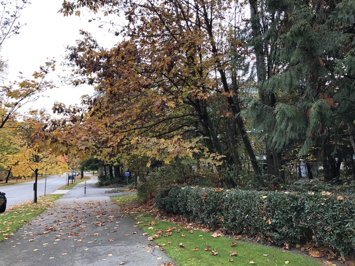 fall