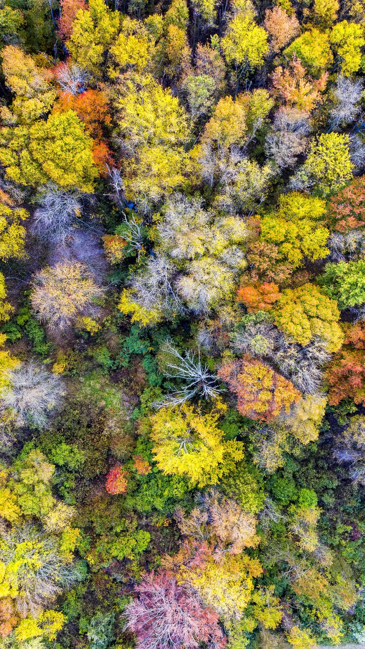 autumn