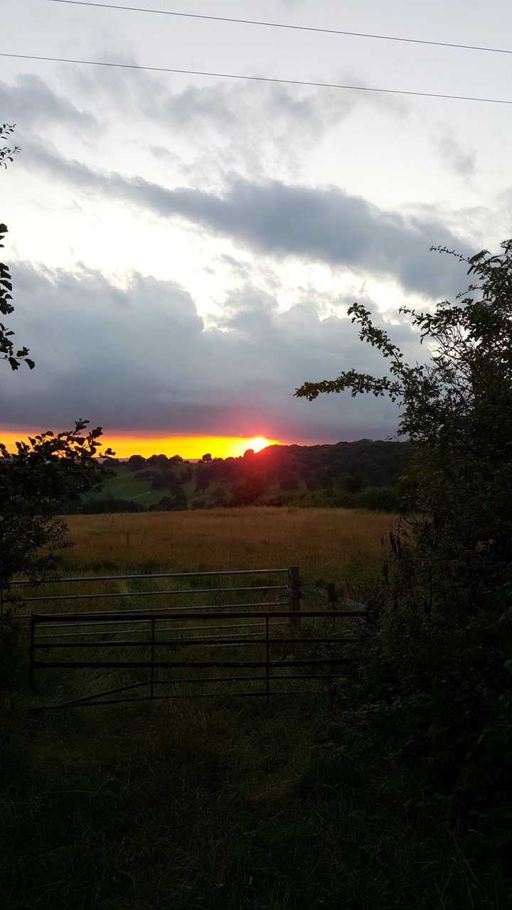 sunset