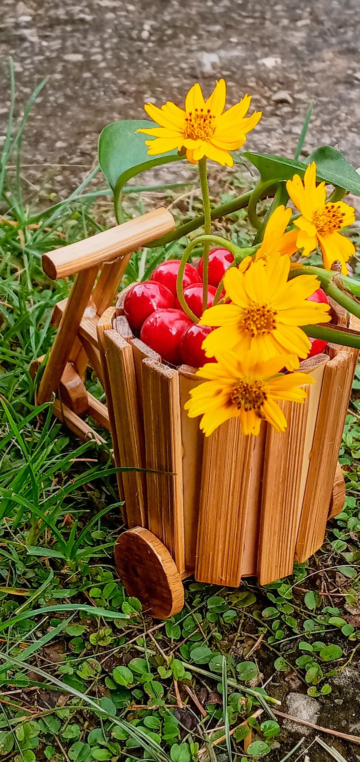 bamboo cart