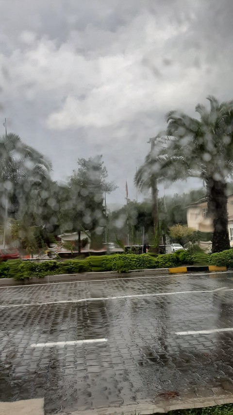 rain