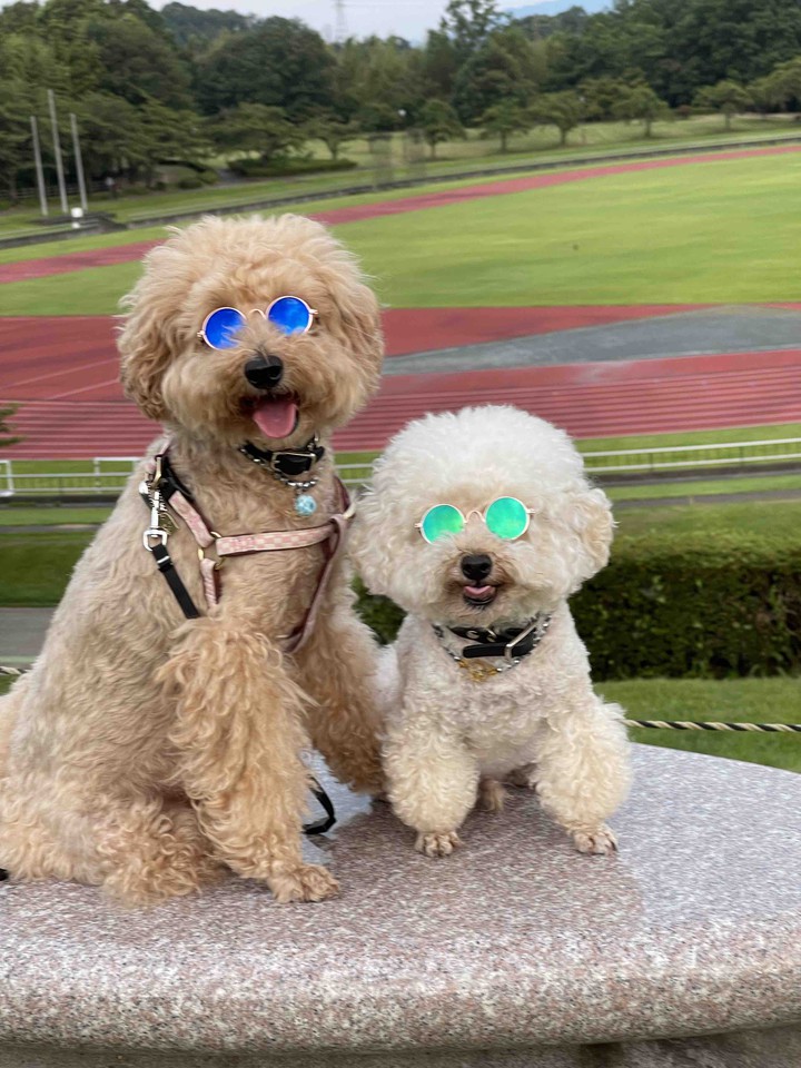 Lucky & Money