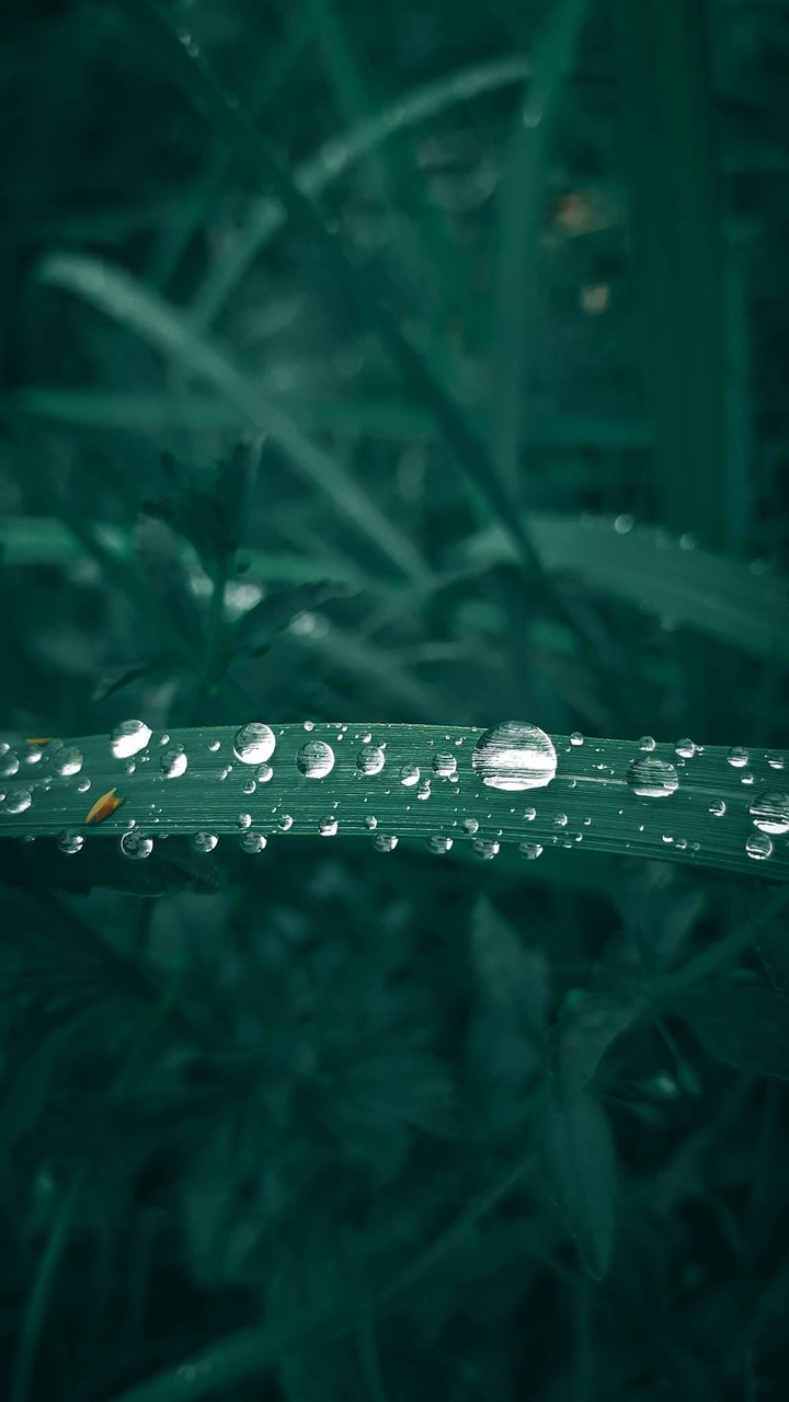Nature