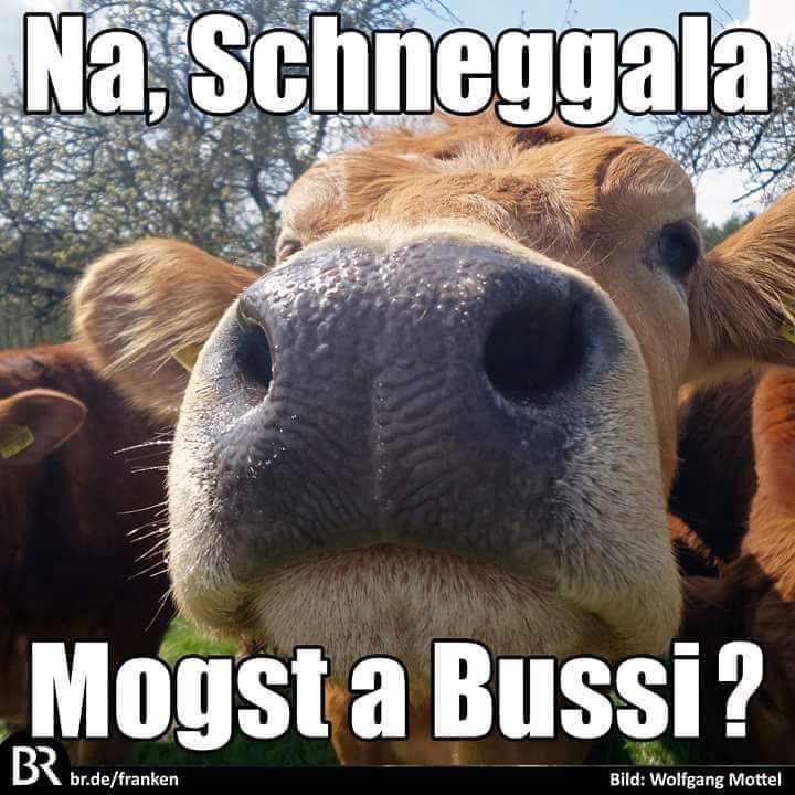 Guten Morgen